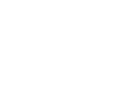 FiveStone Studios